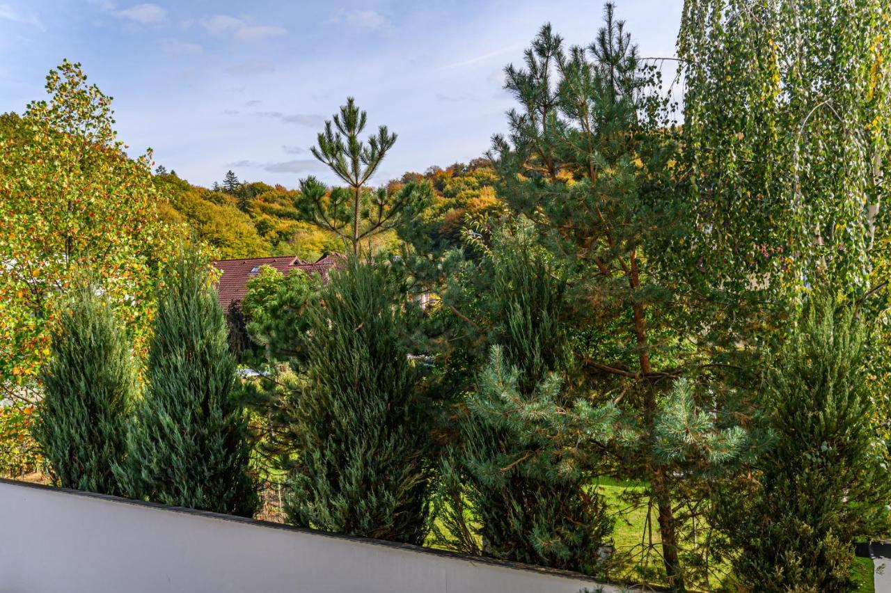 Safari Family Villas Near Park Aventura,Lake,Zoo Braşov Dış mekan fotoğraf